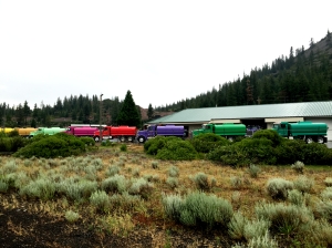Brightly painted water trucks at Truck Village, Weed